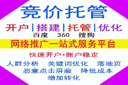 搜索引擎营销（SEM）成功案例详解